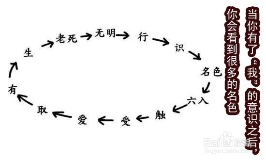 十二因缘是什么？佛教十二因缘详解