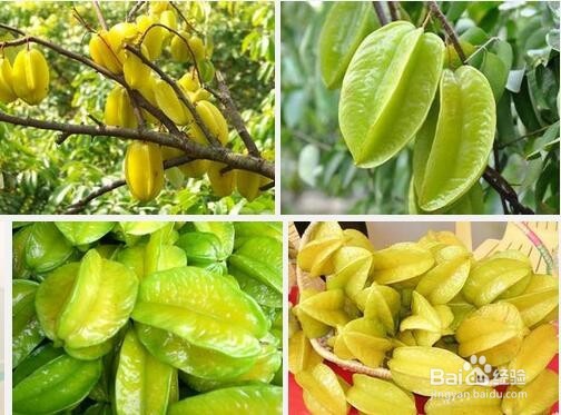 什么样的水果适合春天吃