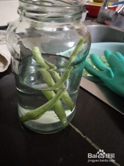 如何用清水制作酸豆角