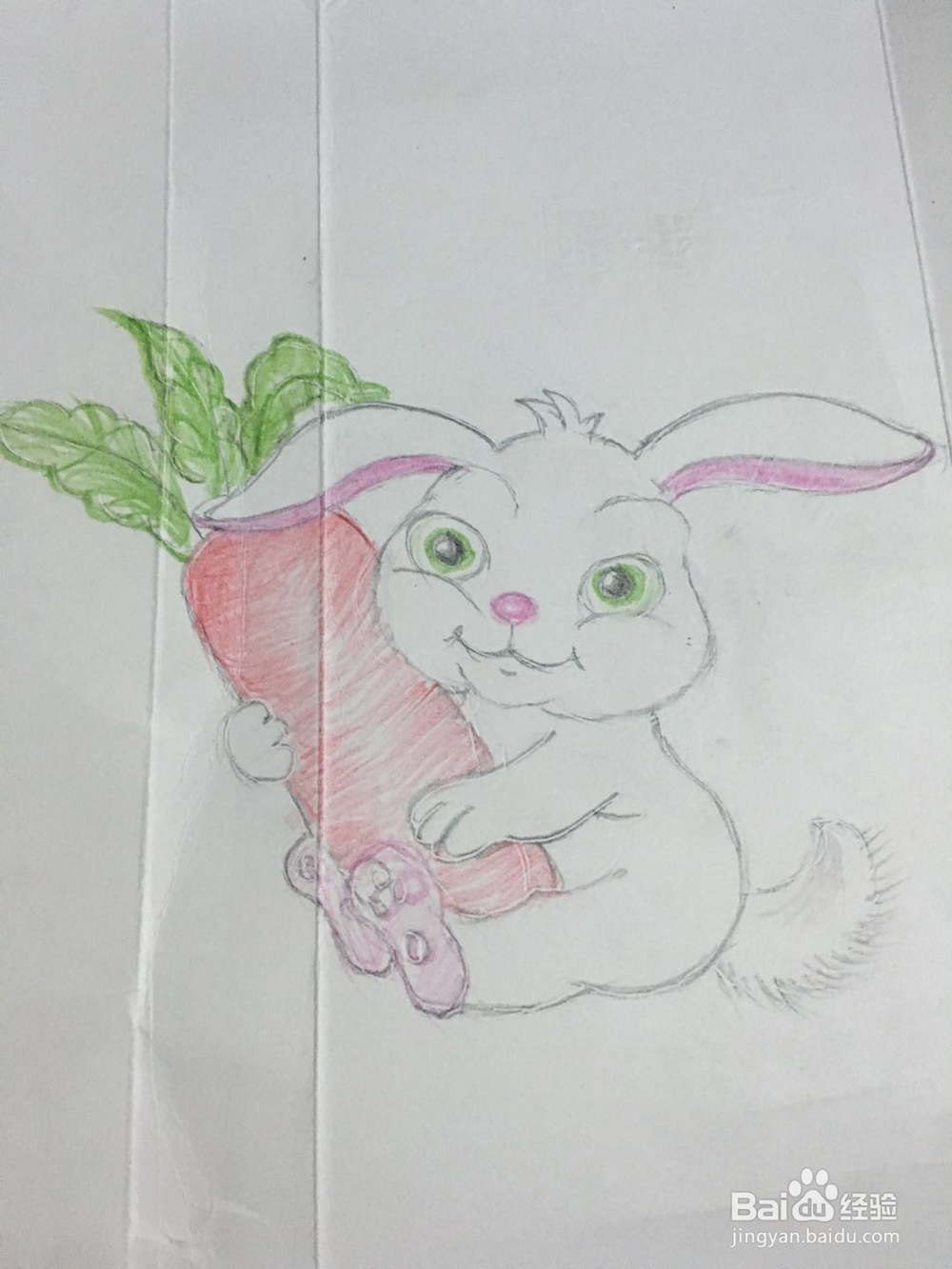 一个抱萝卜的卡通大白兔的彩铅画怎么画