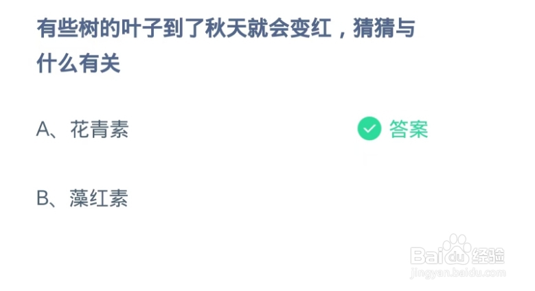 蚂蚁庄园2024.11.23:叶子到秋天会红与什么有关