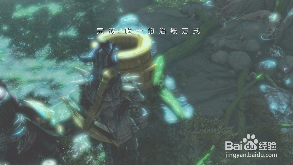 上古卷轴5唯一的治疗方式任务