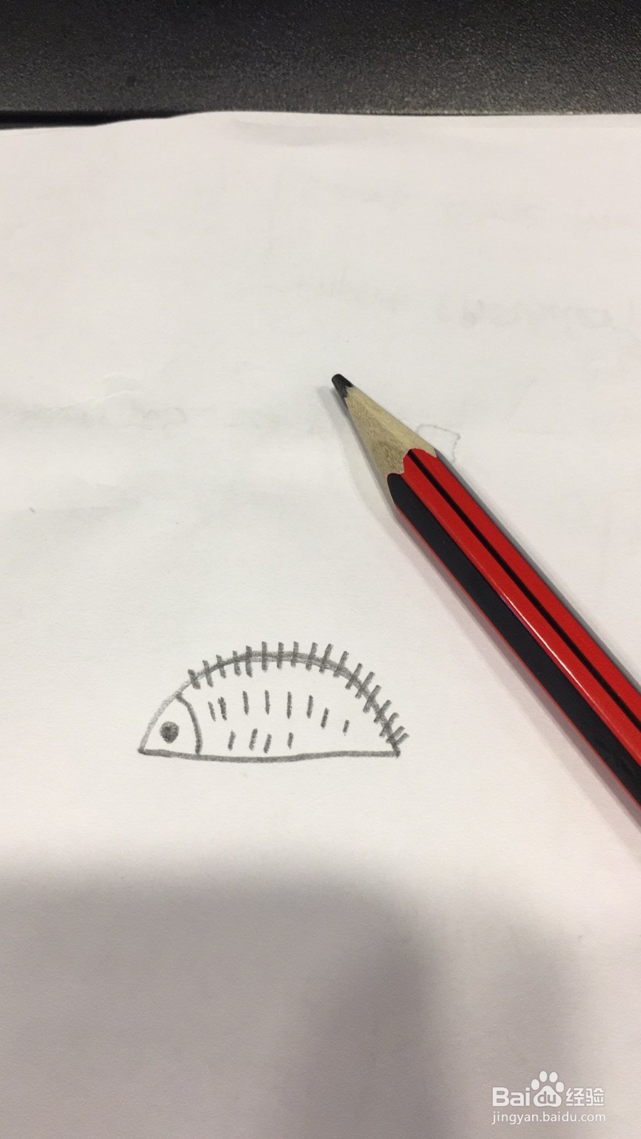 可爱刺猬的简笔画画法