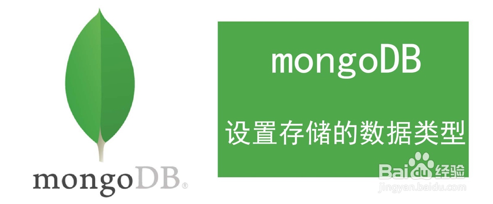 <b>mongodb怎么设置存储的数据类型</b>