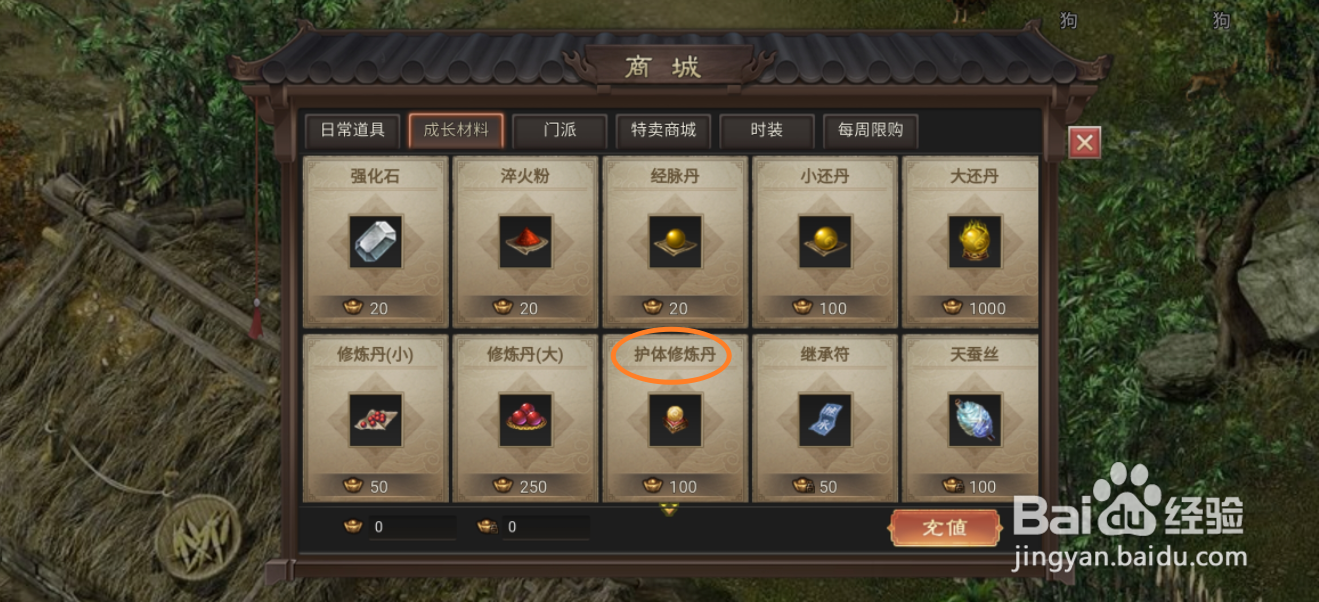在武林霸业哪里可以买到护体修炼丹