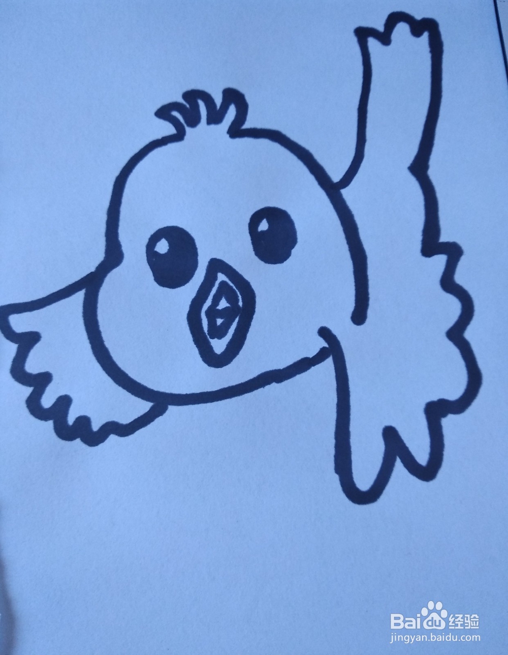动物简笔画之小鸟简笔画