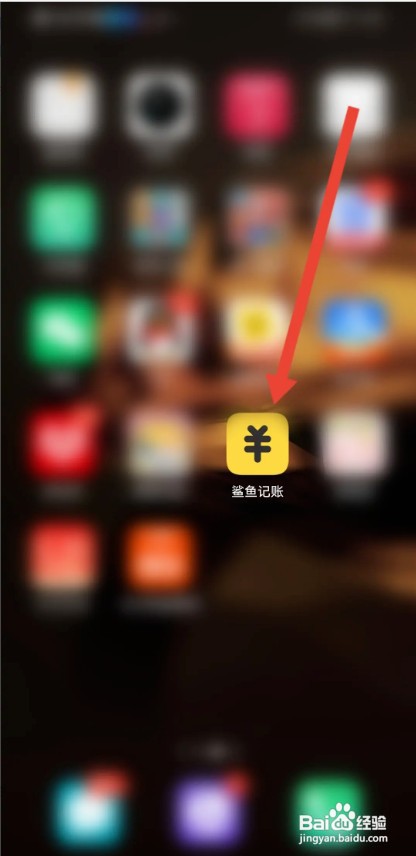 鲨鱼记账APP如何才能设置隐藏总金额
