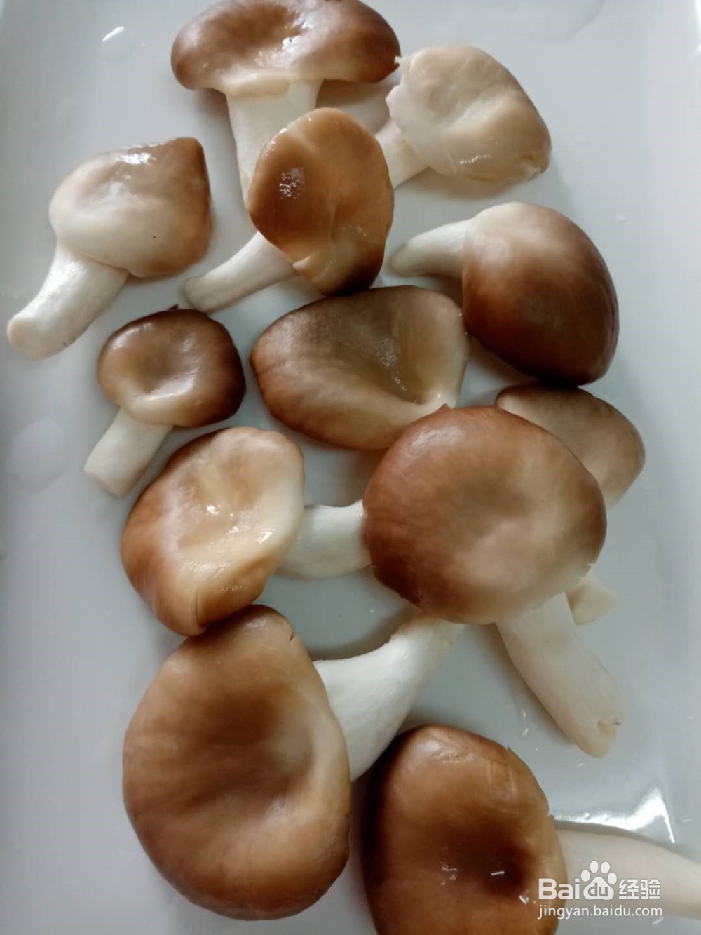 秀珍菇炒瘦肉片