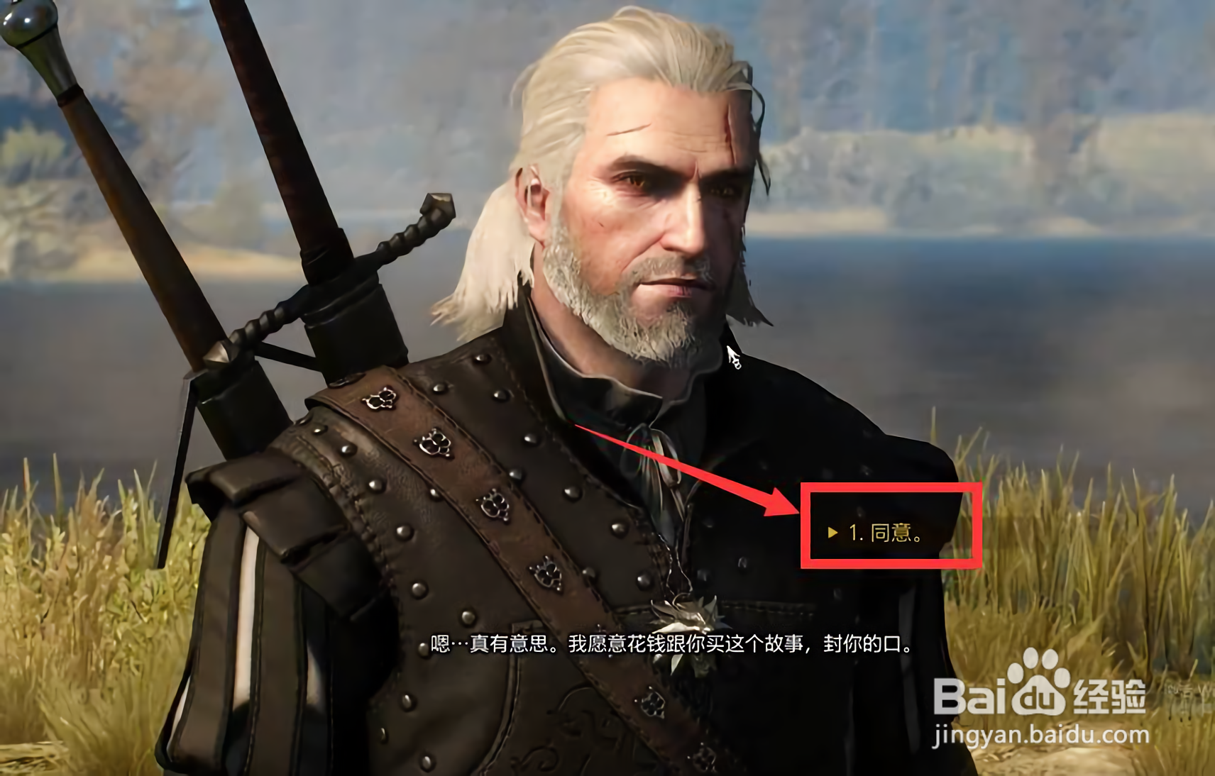 巫师3牧师贿赂怎么选