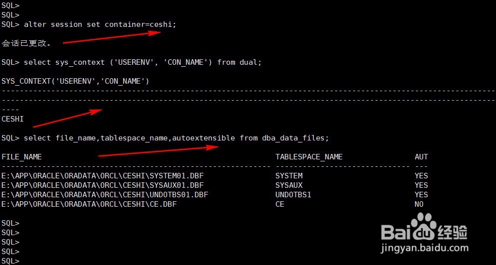 oracle12c数据文件特性