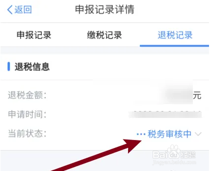 在个人所得税app中，退税进度信息如何查看