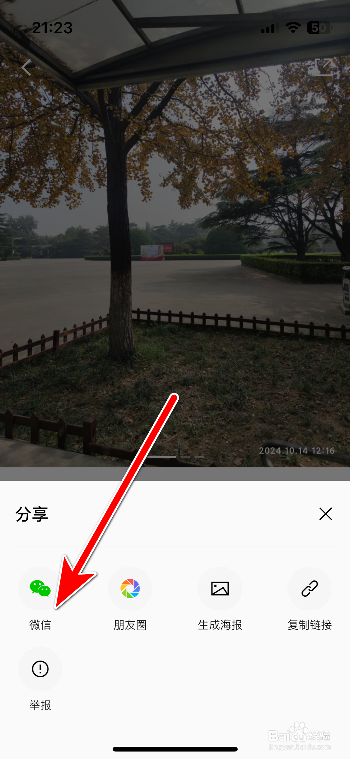 雷达汽车如何分享社区动态给微信好友
