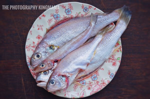 夏天和啤酒焖鱼最搭