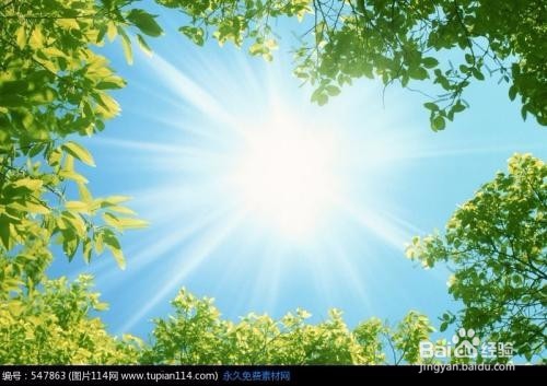 有哪些小窍门可以提高摄影水平?