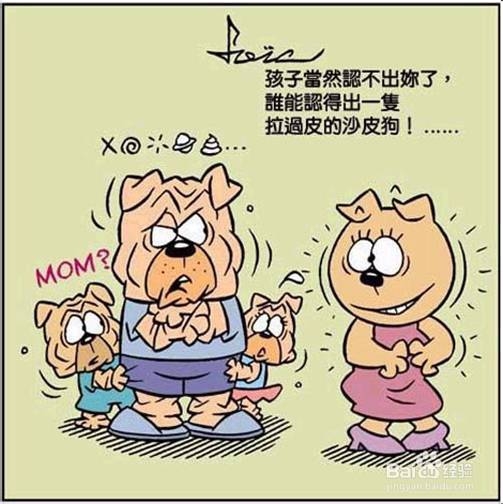 成功的36式：[3]之3剩余篇