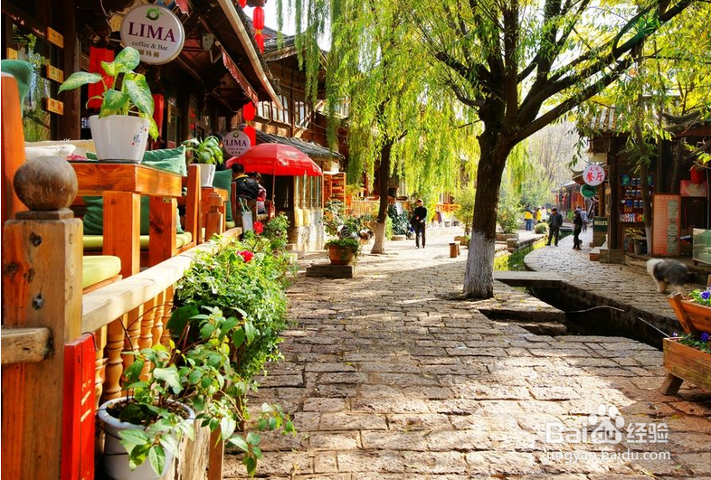 云南最具有魅力的地方