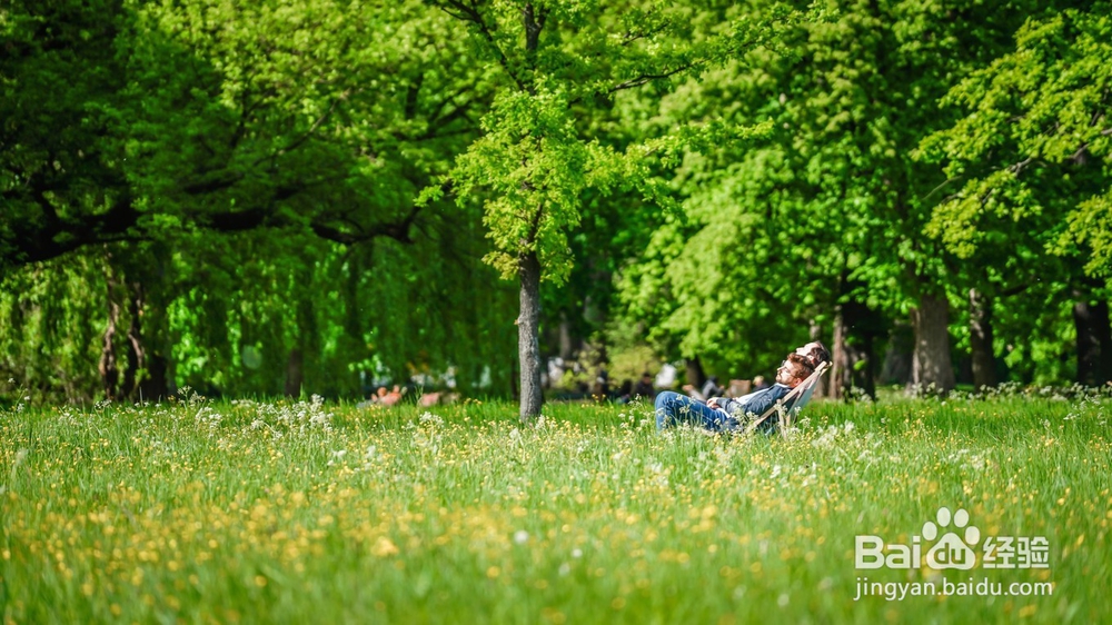 波兰古堡旅游简记5