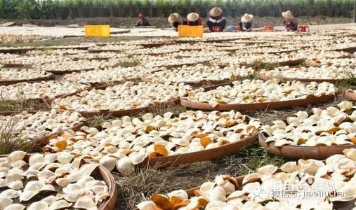 怎样制作陈皮和收藏陈皮