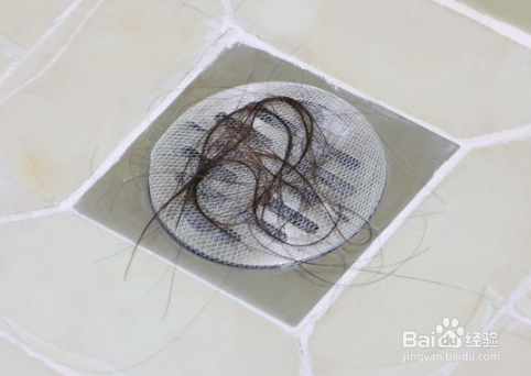 教你几个妙招清除卫生间小飞虫