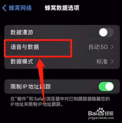 苹果手机怎么关闭5g网络