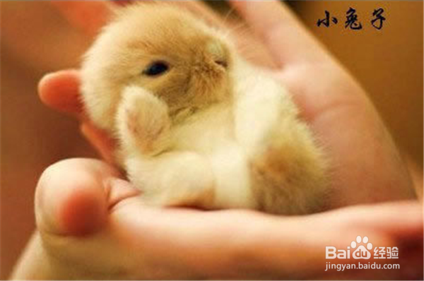 如何提升你的幽默感？