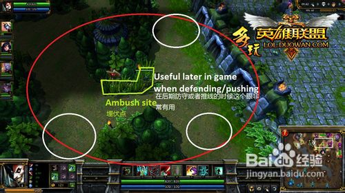 【英雄联盟】插眼技巧,教你如何专业插眼