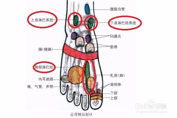 手术后的康复办法