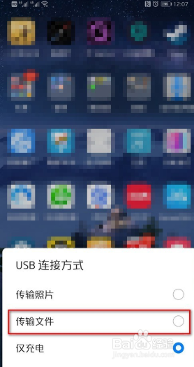 电脑大量照片怎么导入手机