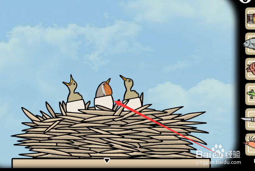 轮回的房间鸟怎么点