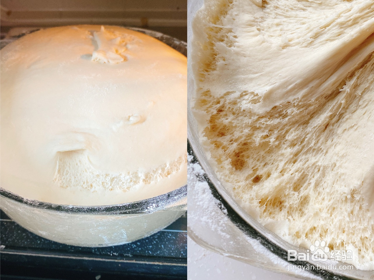 鲜肉包子的做法