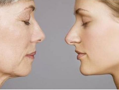 花胶的功效与作用及食用方法大全