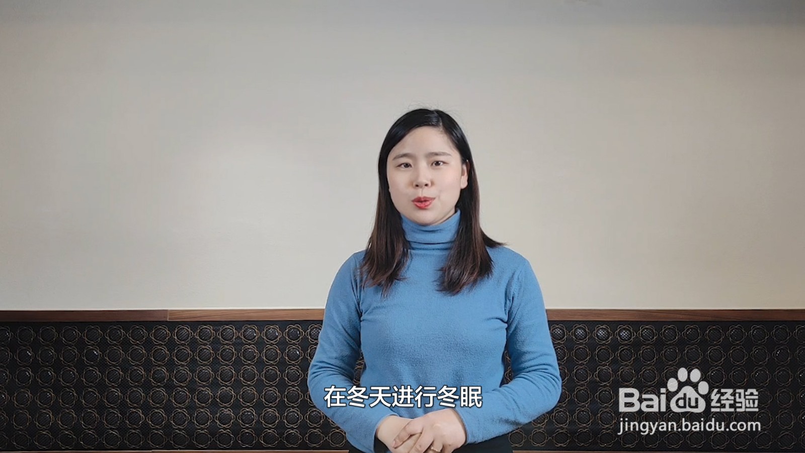 小青蛙怎样过冬