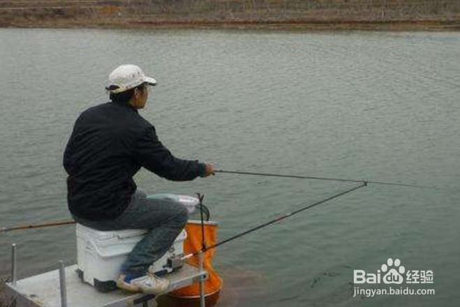 钓鱼哪个环结最重要？钓鱼饵料渔具线组窝料