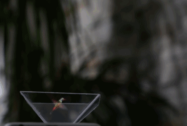 怎么做到用手机实现3D全息投影？