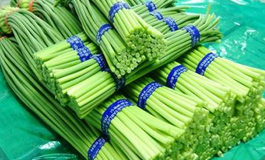 怎么样利用”天然抗生素“大蒜养生