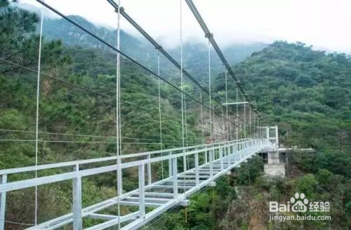 牛鱼嘴原始生态风景区攻略