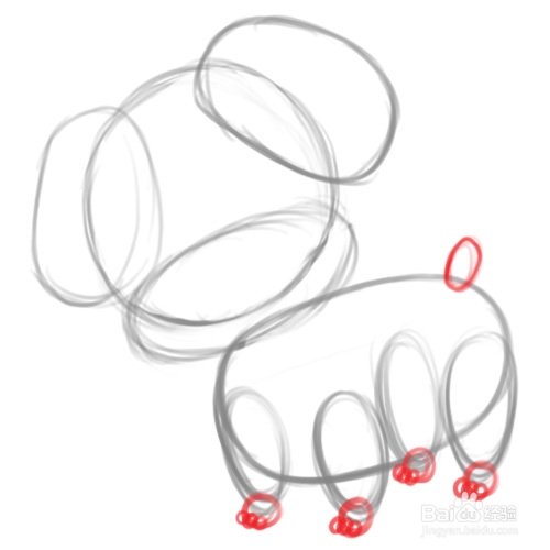 怎样画动物：[13]怎样画卡通狗