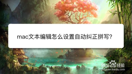 mac文本编辑怎么设置自动纠正拼写
