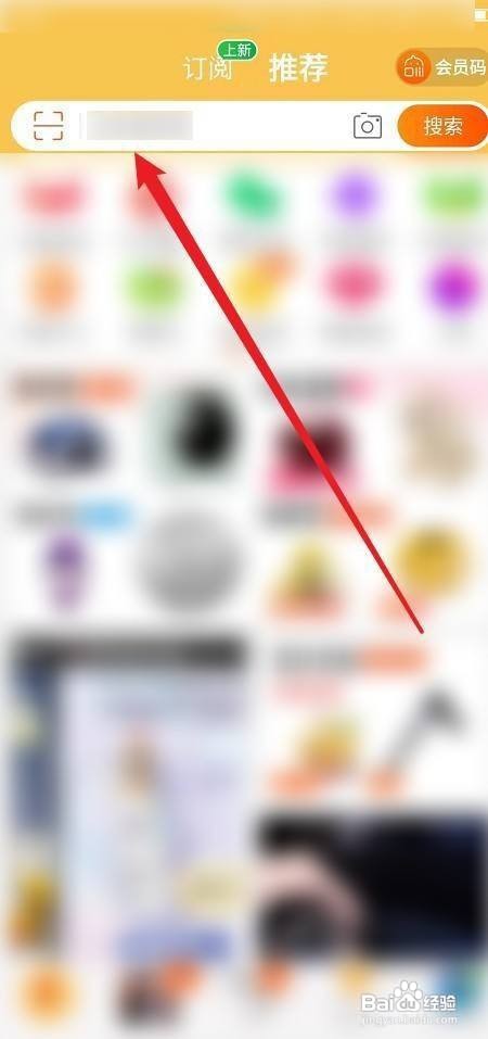 发财树被冻了如何补救