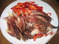 憨态可掬的冒三鲜炒芫荷的做法