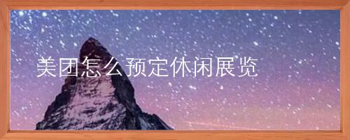 美团怎么预定休闲展览