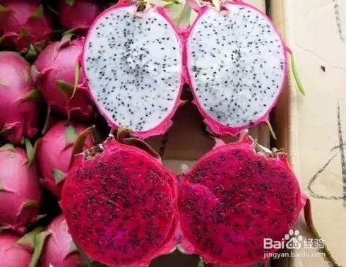 一生都不胖的方法！不用饿肚子，不用吃药，简单