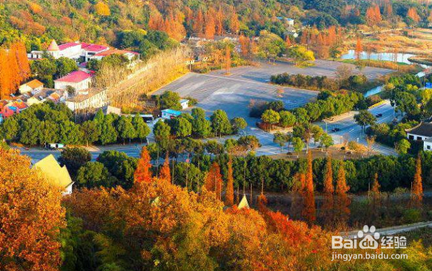 如果避免季节性的悲伤?