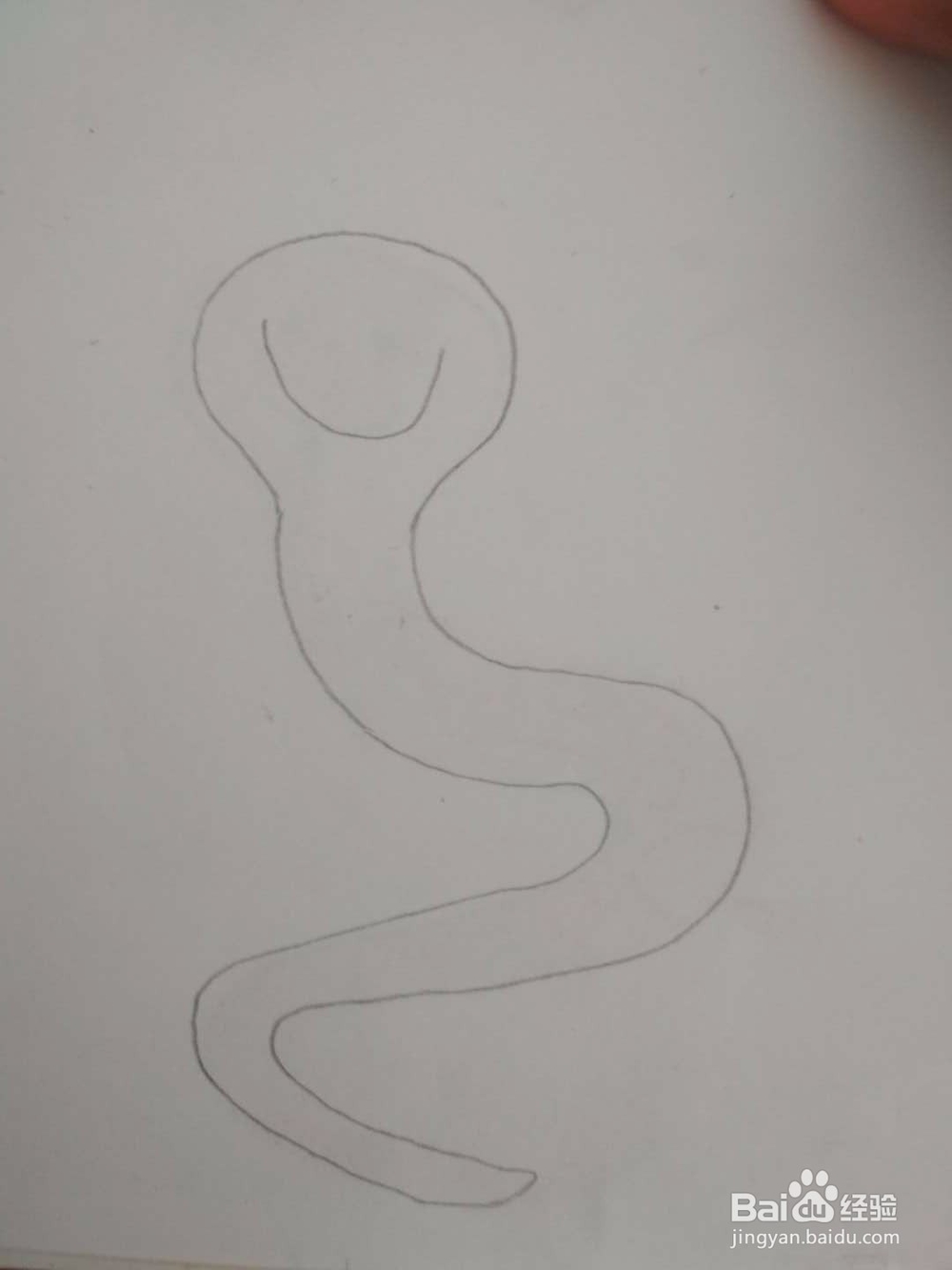 多妈简笔画动物一只眼镜蛇