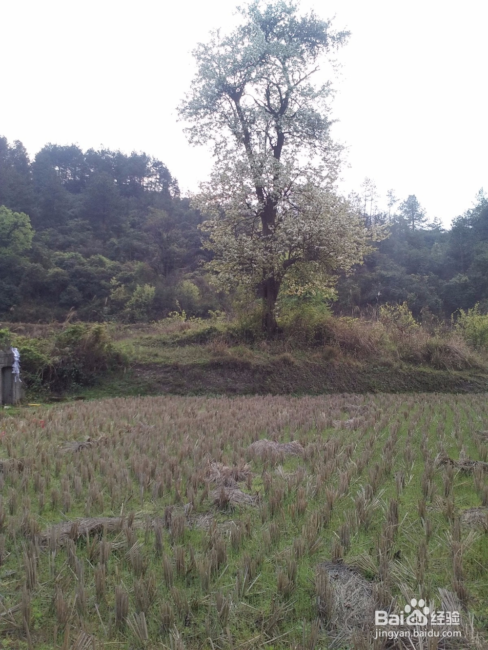 自学能力的培养之路