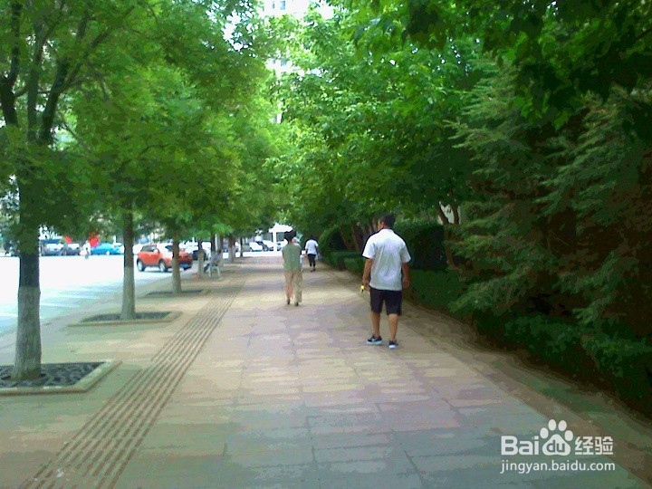 幼儿期的孩子安全出行