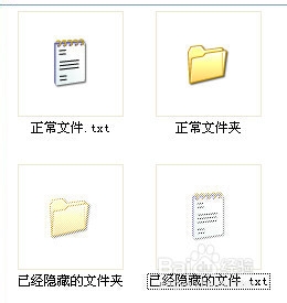 如何查看电脑中隐藏的文件和文件夹