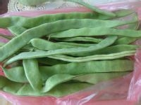 美白功效之四季豆炒肉