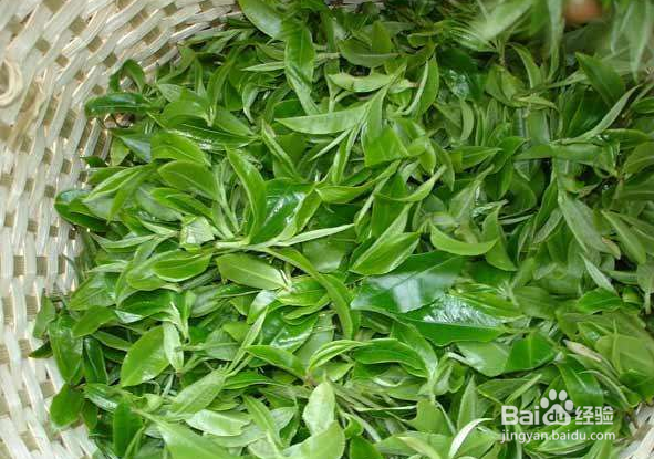 如何保护好眼睛,不成为近视眼