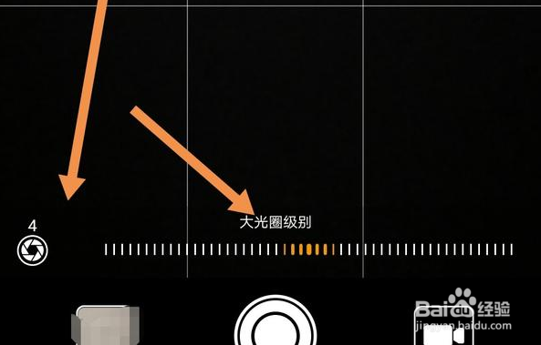 在冬天摄影,利用雪,可以拍出哪些好看的照片